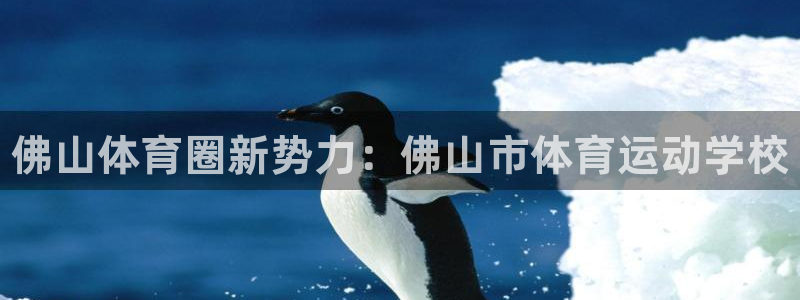 vsport体育官网下载平台是正规平台吗安全吗