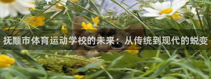 vsport体育官方正版app新能源：抚顺市体育运动学校的未