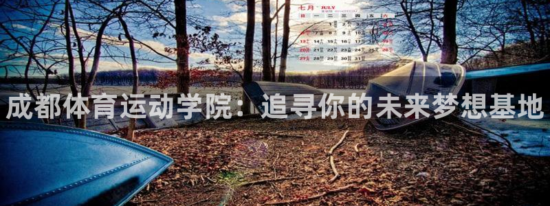 vsport体育官网下载招商