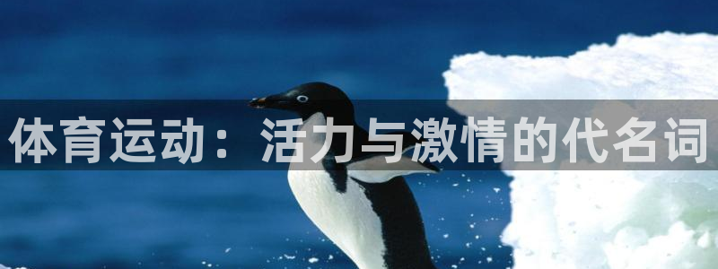 vsport体育官方正版app集团官网首页：体育运动：活力与