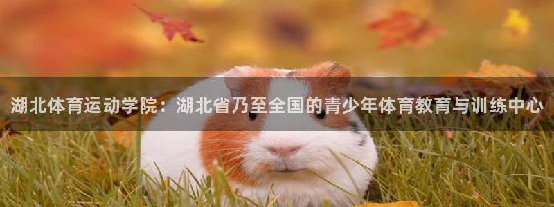 vsport体育官方正版app集团官网首页网址：湖北体育运动