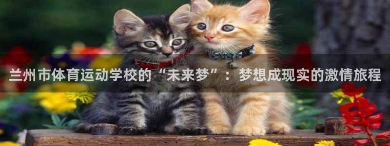 vsport体育官方正版app集团官网首页：兰州市体育运动学