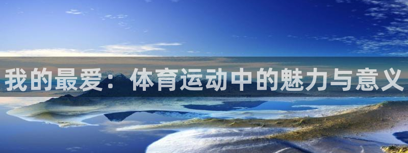 vsport体育官方正版app娱乐是那个系列的台子：我的最爱