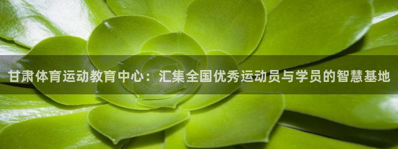 vsport体育官网下载平台注册：甘肃体育运动教育中心：汇集