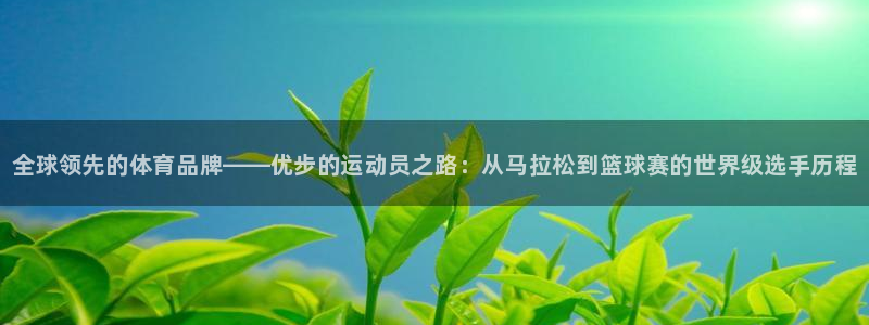 vsport体育官网下载平台是正规平台吗知乎